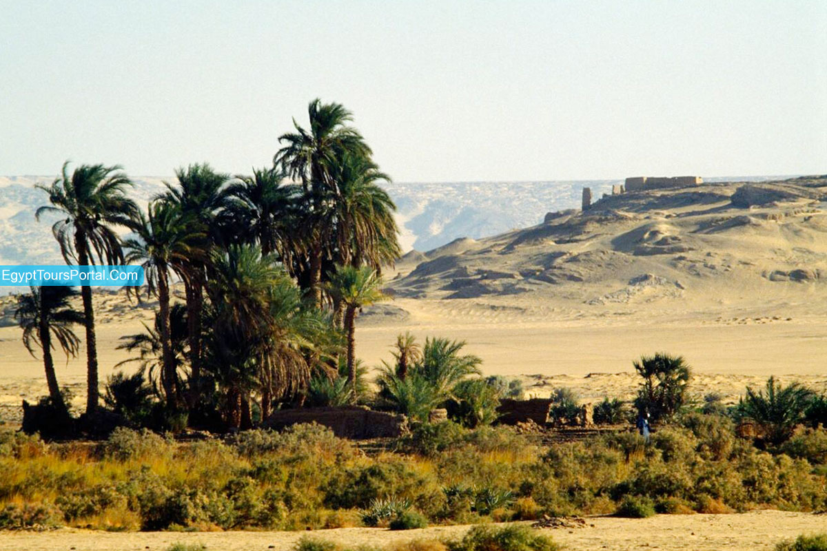 Egypt's White & Black Desert Safari